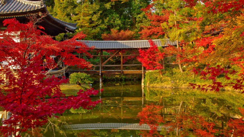 什么时候去日本旅游最好？日本最佳旅游时间是几月？                                                                                               日本