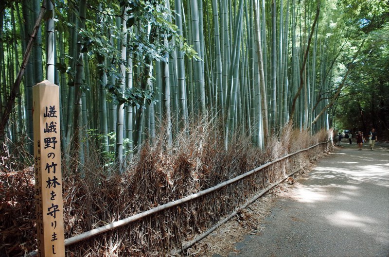 最经典的京都两日游玩法攻略                                                                                               日本