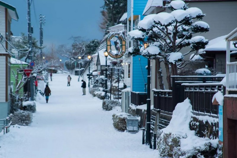 北海道自由行路线：解锁北海道所有的甜蜜                                                                                               日本