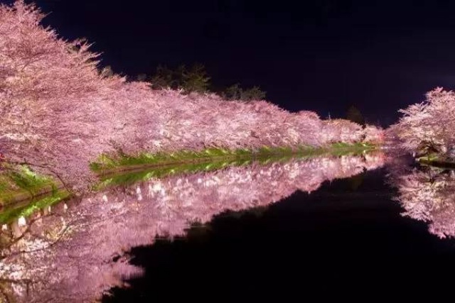 日本最全赏樱花攻略，再也不怕错过日本樱花季！                                                                                               日本