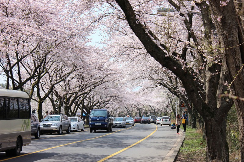 什么时候去日本旅游最好？日本最佳旅游时间是几月？                                                                                               日本