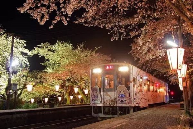 日本最全赏樱花攻略，再也不怕错过日本樱花季！                                                                                               日本