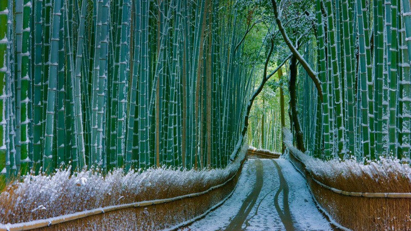 最经典的京都两日游玩法攻略                                                                                               日本