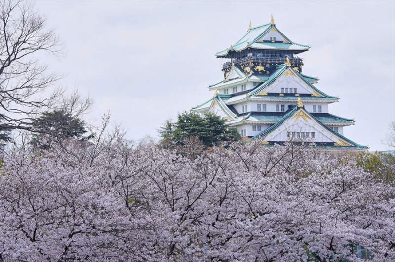 日本的樱花什么时候开？2019日本樱花开放时间预告                                                                                               日本