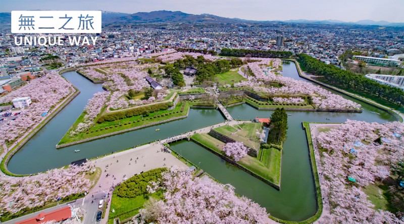 日本的樱花什么时候开？2019日本樱花开放时间介绍                                                                                               日本