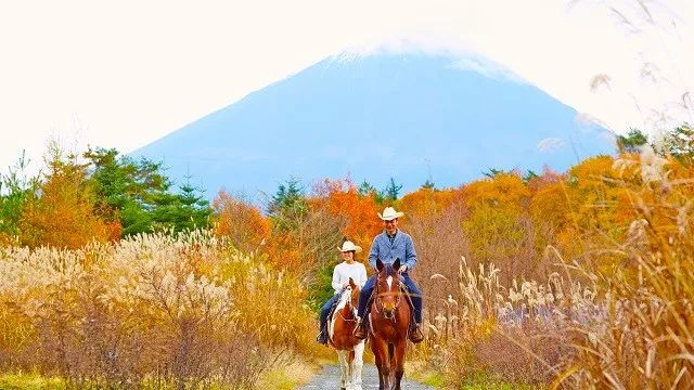 没住过星野酒店，就不算去过日本旅游                                                                                               日本