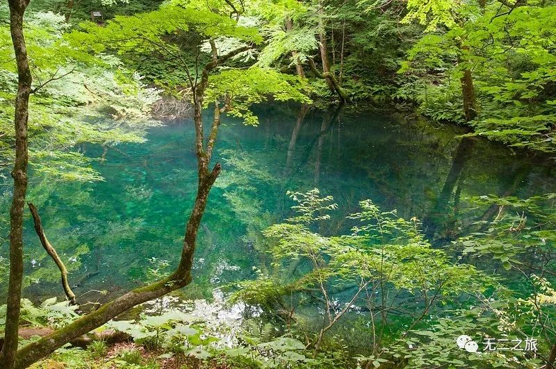 日本旅游：38℃盛夏，躲进青森                                                                                               日本