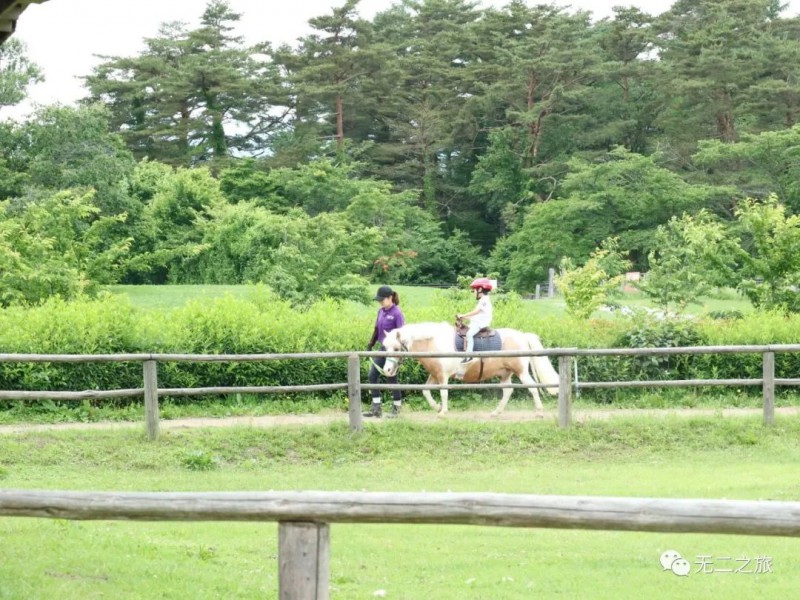 日本旅游：38℃盛夏，躲进青森                                                                                               日本