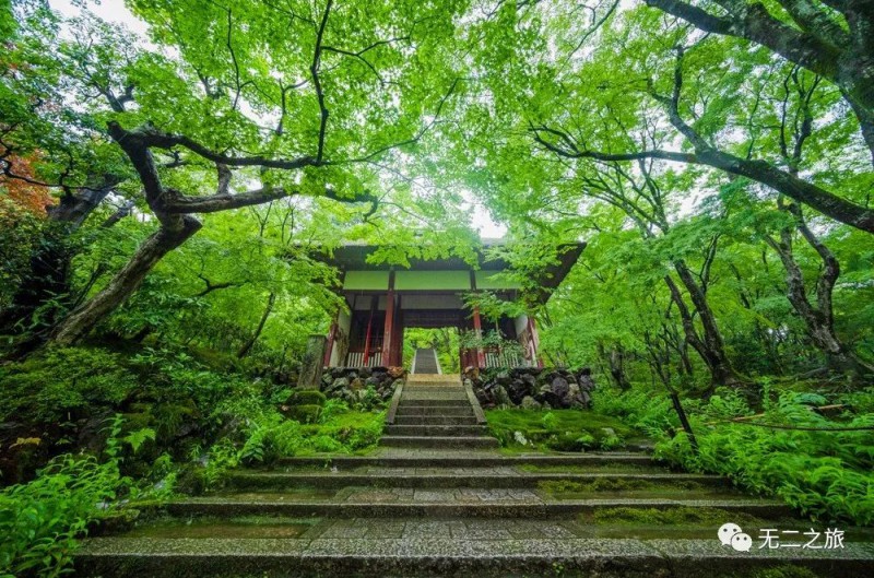 日本旅游：这是你从没见过的日本京都！                                                                                               日本