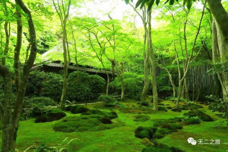 日本旅游：这是你从没见过的日本京都！                                                                                               日本