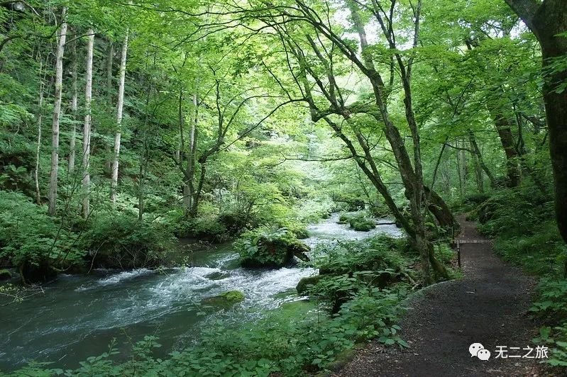 日本旅游：38℃盛夏，躲进青森                                                                                               日本