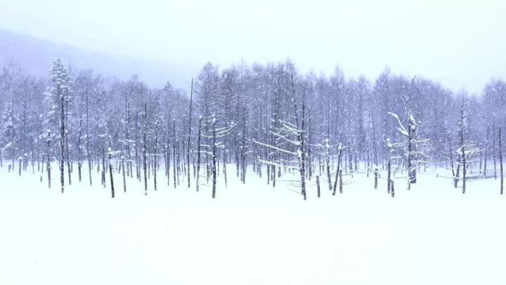 日本冬季旅游攻略：那些性冷淡的冬季必去景点                                                                                               日本