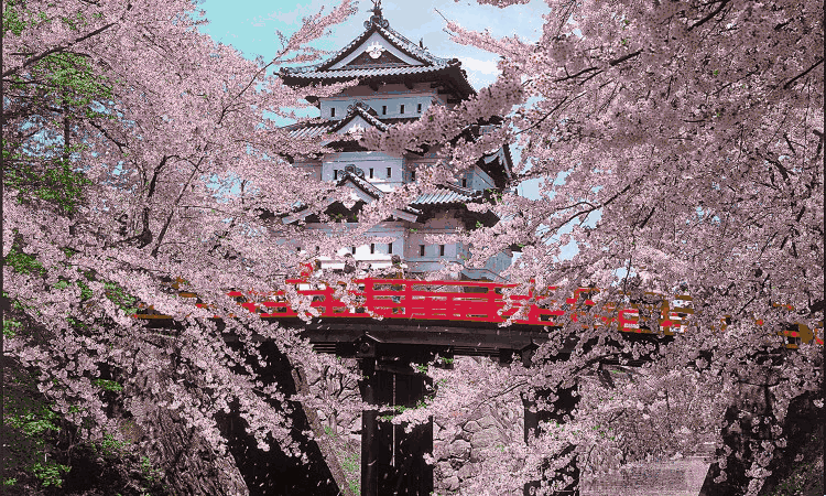 日本青森，比北海道还美的冬季旅游胜地                                                                                               日本