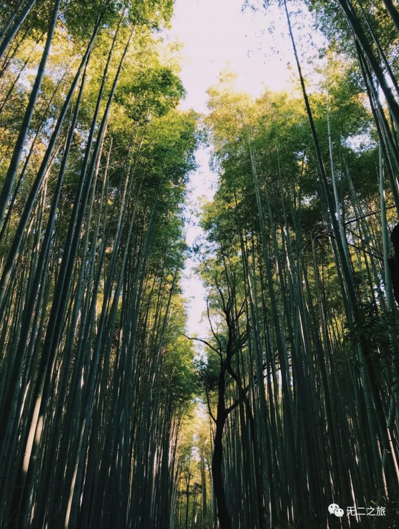 日本旅游：这是你从没见过的日本京都！                                                                                               日本