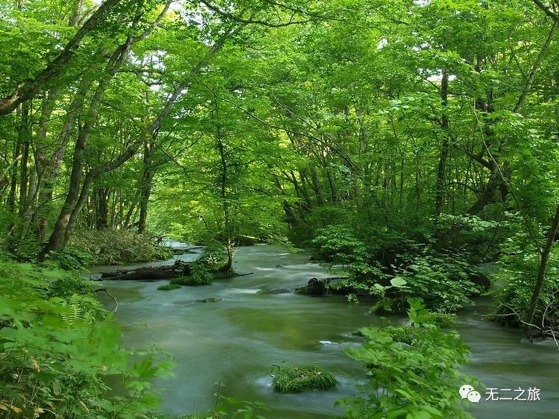 日本旅游：38℃盛夏，躲进青森                                                                                               日本