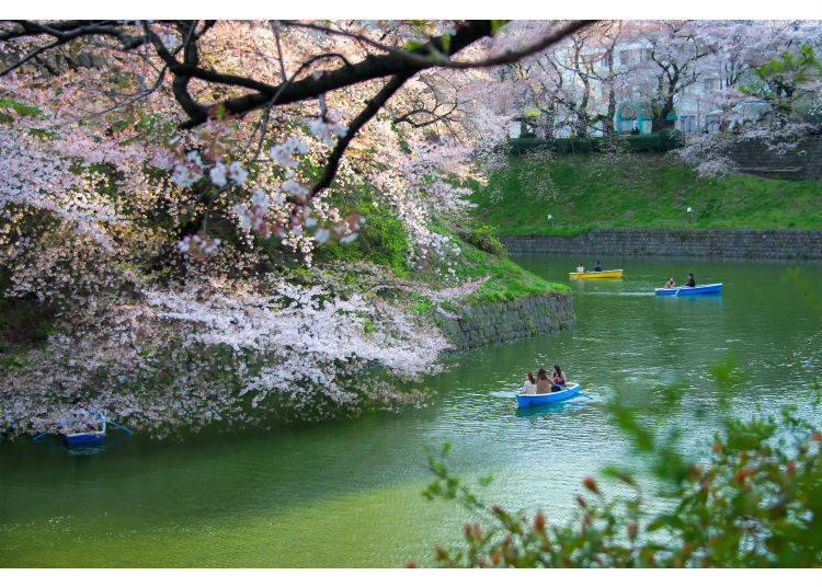 日本东京三、四、五月份天气怎么样？穿什么合适？                                                                                               日本