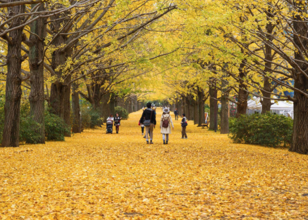 去日本东京旅行，9-11月秋季穿什么衣服合适                                                                                               日本