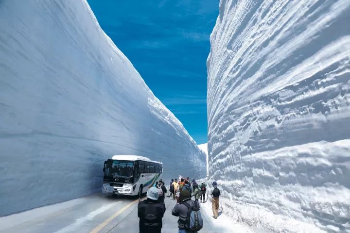 日本冬季旅游攻略：那些性冷淡的冬季必去景点                                                                                               日本