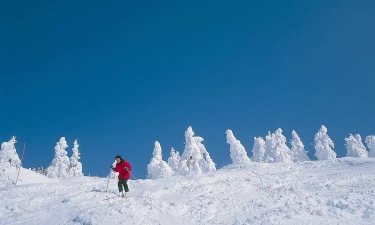 日本青森，比北海道还美的冬季旅游胜地                                                                                               日本