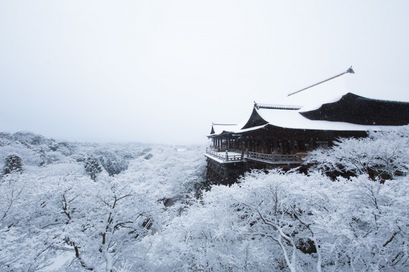 冬季日本攻略：拥有绝美雪景的京都七大景点                                                                                               日本