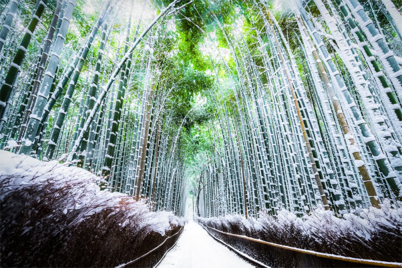 冬季日本攻略：拥有绝美雪景的京都七大景点                                                                                               日本
