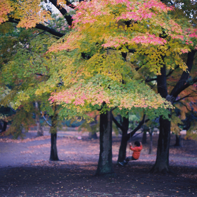 去日本东京旅行，9-11月秋季穿什么衣服合适                                                                                               日本