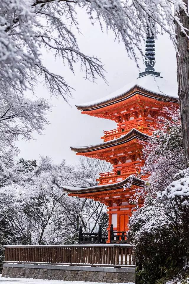 日本冬季旅游攻略：那些性冷淡的冬季必去景点                                                                                               日本