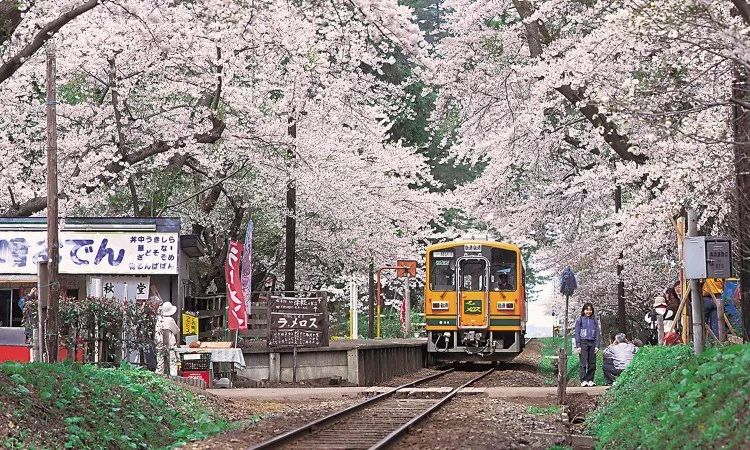 日本青森，比北海道还美的冬季旅游胜地                                                                                               日本