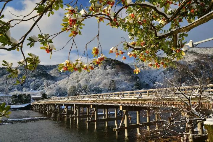 日本冬季旅游攻略：那些性冷淡的冬季必去景点                                                                                               日本