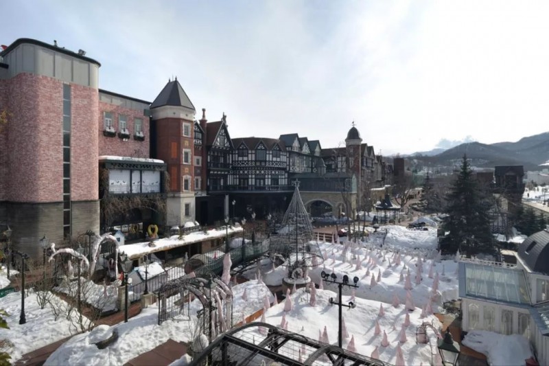 北海道冬季旅行，见到《情书》里最撩人的爱情                                                                                               日本