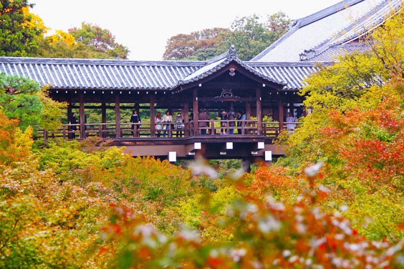 在日本关西旅游，做完这20件事才算去过京都！（附线路推荐）                                                                                               日本