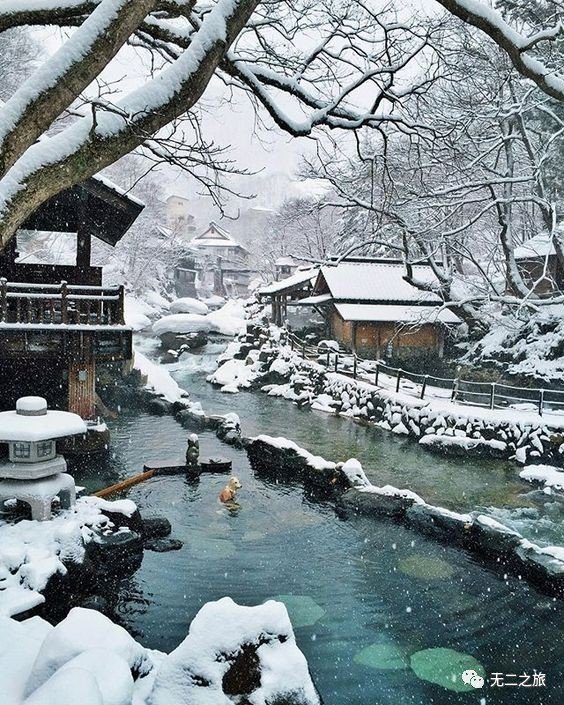 北海道の冬天，每个角落都适合恋爱                                                                                               日本