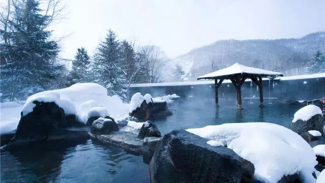 北海道冬季旅行，见到《情书》里最撩人的爱情                                                                                               日本