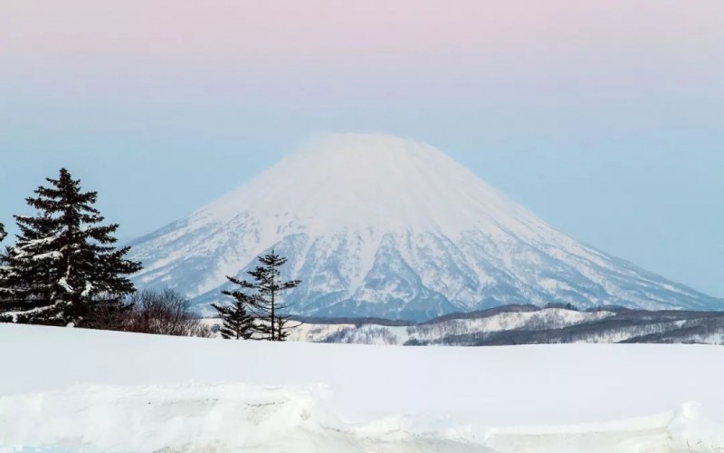北海道冬季旅行，见到《情书》里最撩人的爱情                                                                                               日本