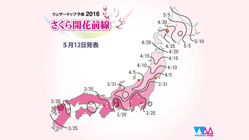 日本最全赏樱花攻略                                                                                               日本