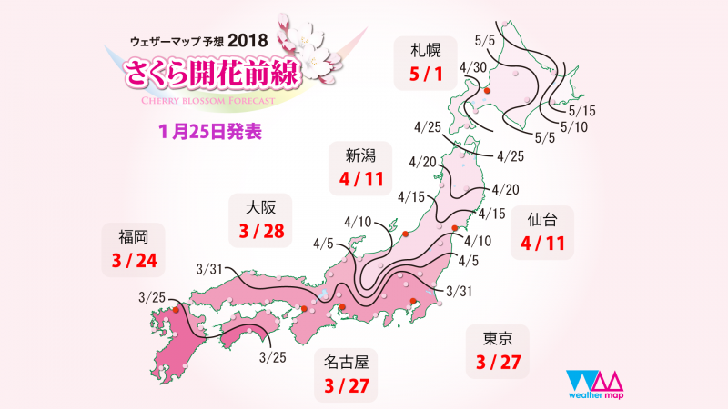 四月去日本漫步赏樱花攻略                                                                                               日本