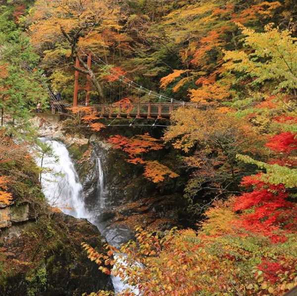 秋季去日本赏枫，你应该知道这些注意事项                                                                                               日本