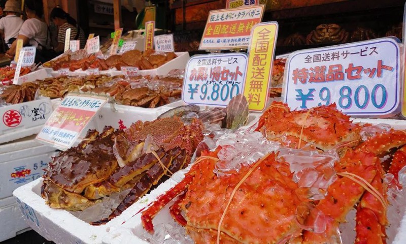 北海道冬季旅行，见到《情书》里最撩人的爱情                                                                                               日本