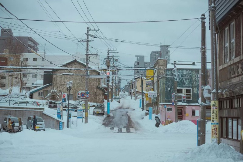 北海道冬季旅行，见到《情书》里最撩人的爱情                                                                                               日本