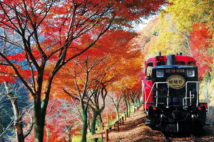 日本秋季关西旅游就在这三个城市                                                                                               日本