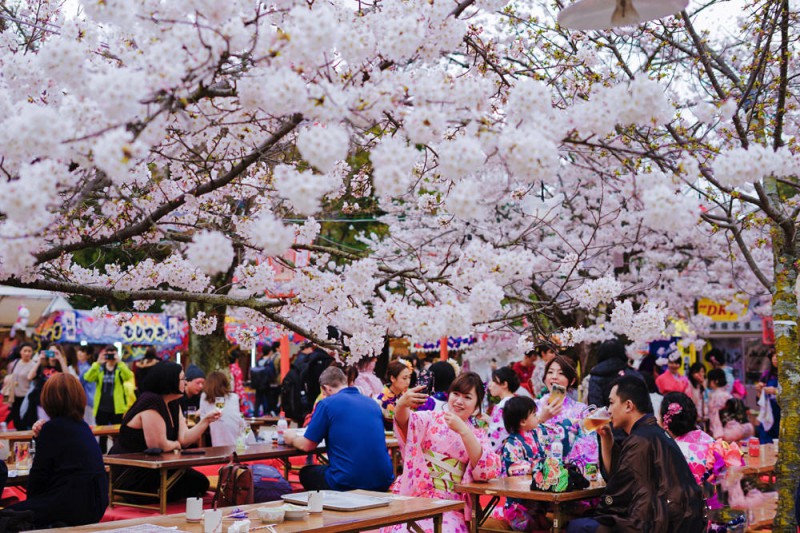 四月去日本漫步赏樱花攻略                                                                                               日本