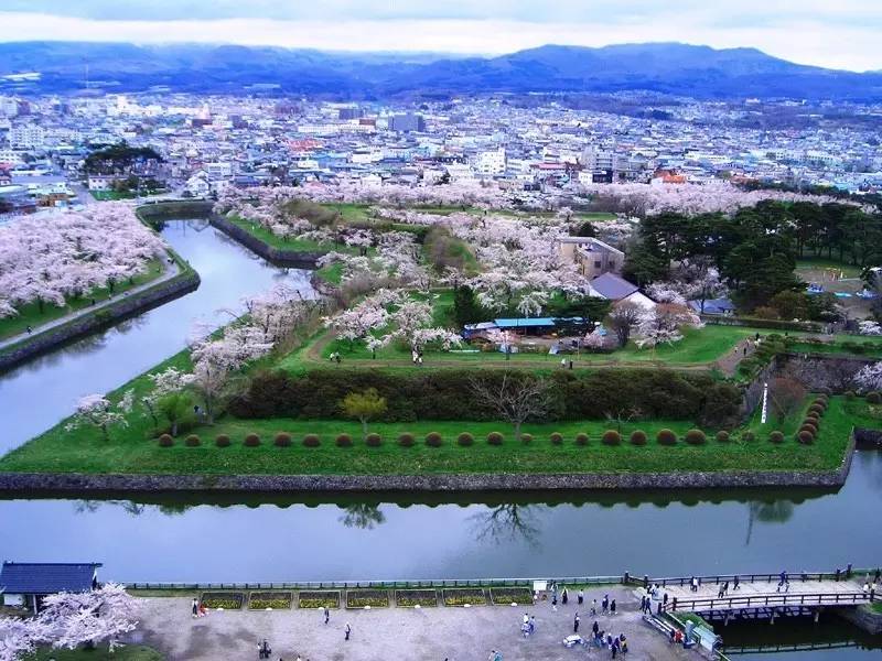 日本最全赏樱花攻略                                                                                               日本