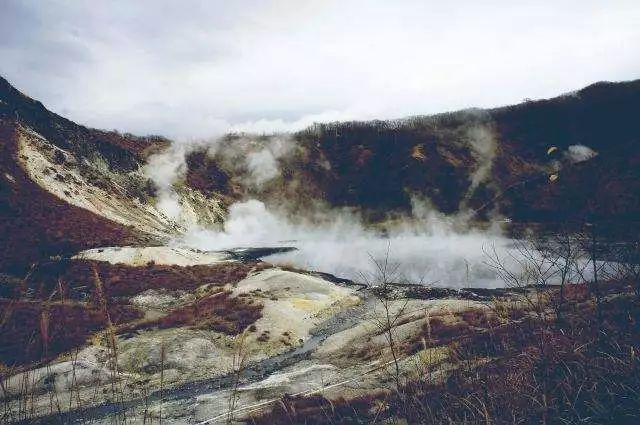 北海道冬季旅行，见到《情书》里最撩人的爱情                                                                                               日本