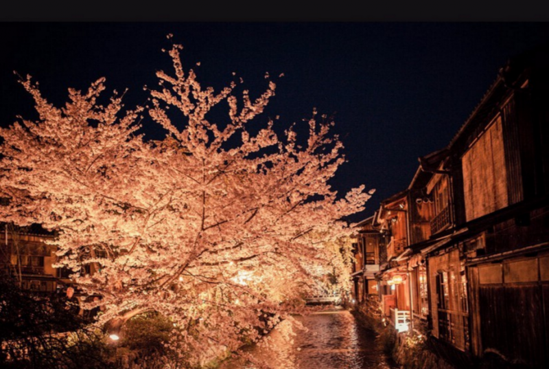 日本秋季关西旅游就在这三个城市                                                                                               日本