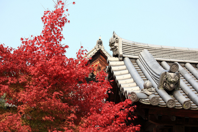 秋季去日本赏枫，你应该知道这些注意事项                                                                                               日本