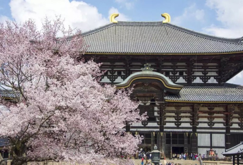 日本旅游小众玩法：去日本最灵验的寺庙求个签                                                                                               日本