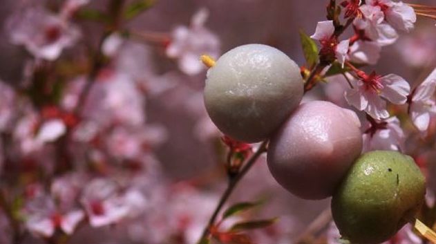 盘点美到爆的日本樱花限定美食，一口吃掉樱花季！                                                                                               日本