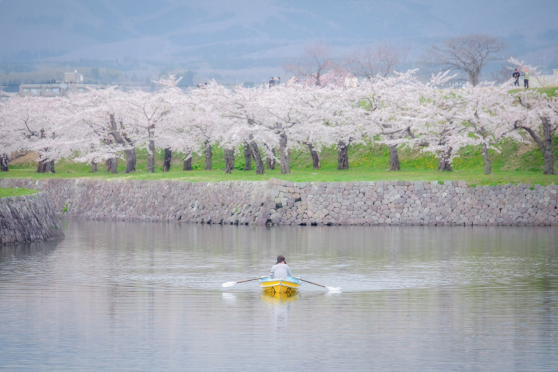 四月去日本漫步赏樱花攻略                                                                                               日本