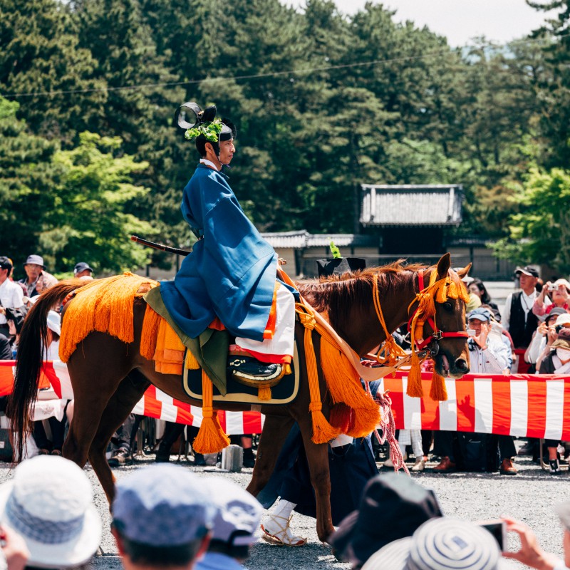 五月的京都怎么玩？京都景点活动解析                                                                                               日本