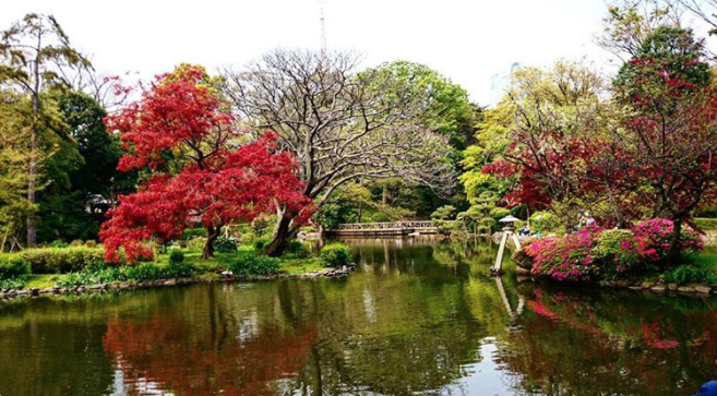深度盘点：日本东京市区6大最佳赏枫地点                                                                                               日本